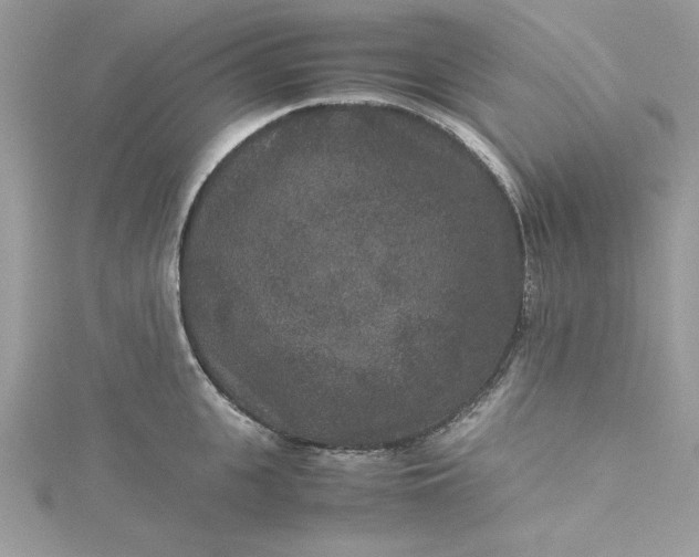 X0000115350951200911171329