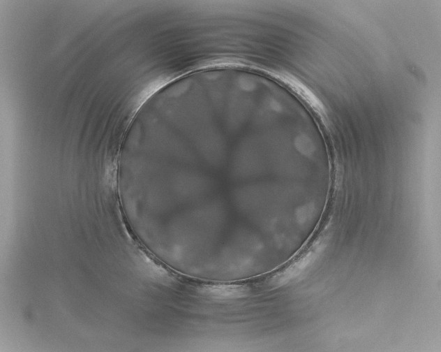 X0000115350953200911171329