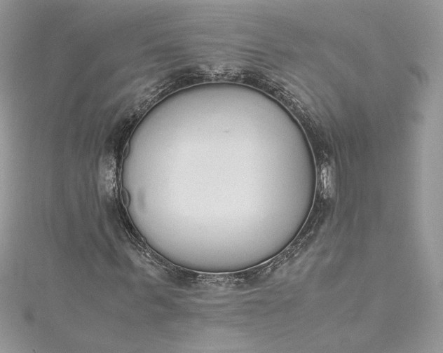 X0000115350963200911171328