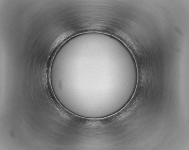X0000115350978200911171328