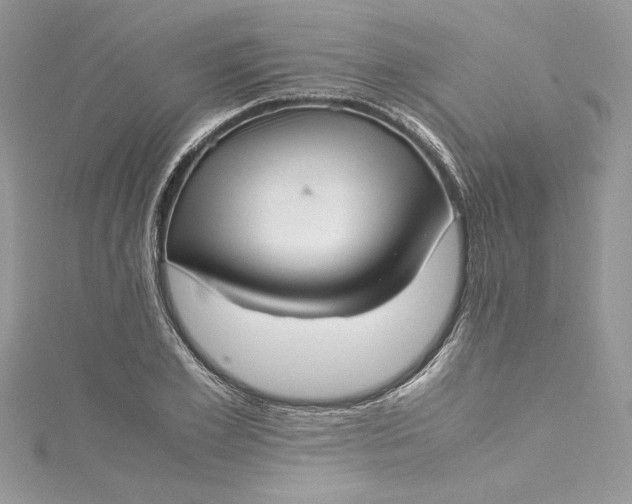 X0000115350981200911171328