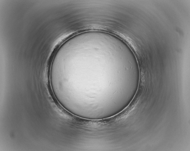 X0000115350987200911171328