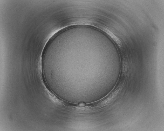 X0000115350988200911171328