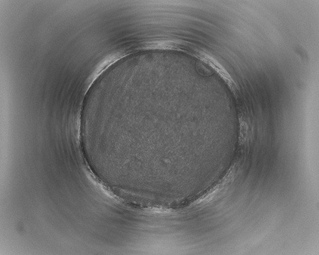 X0000115350994200911171328