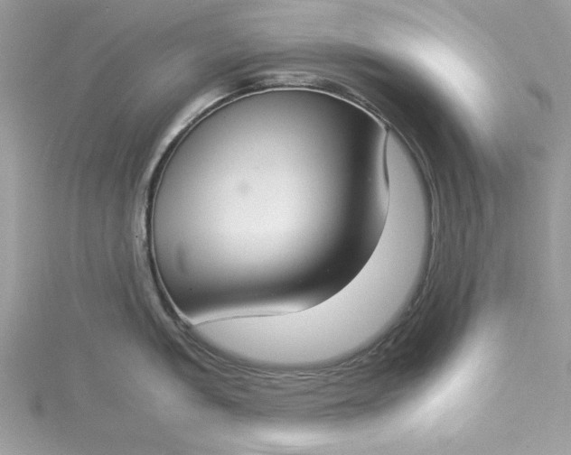 X0000115351005200911171328