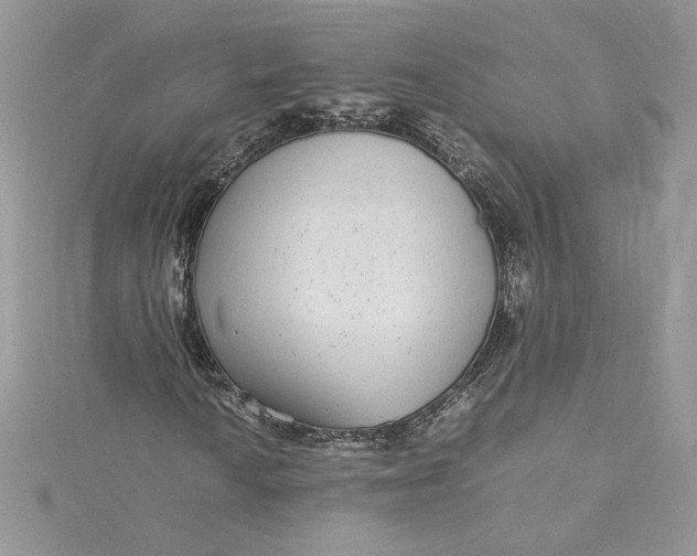 X0000115351010200911171327