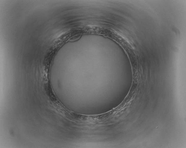 X0000115351013200911171327