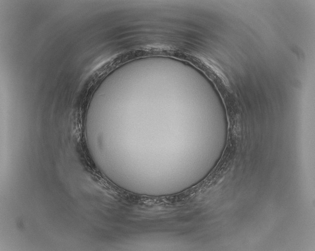 X0000115351015200911171327
