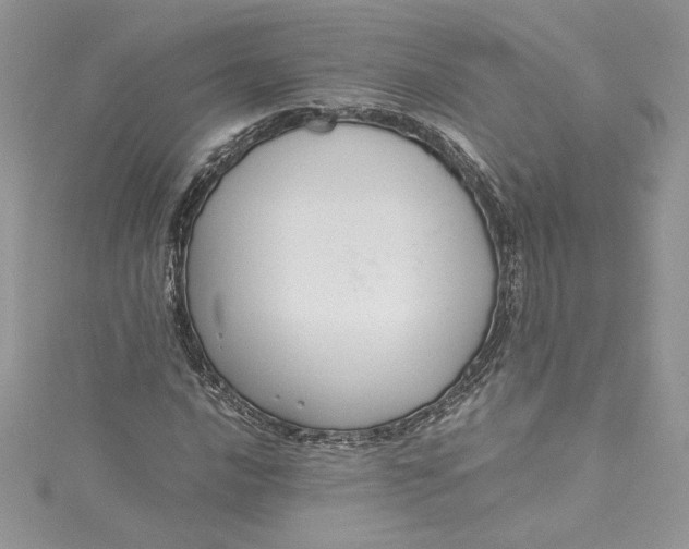 X0000115351016200911171327