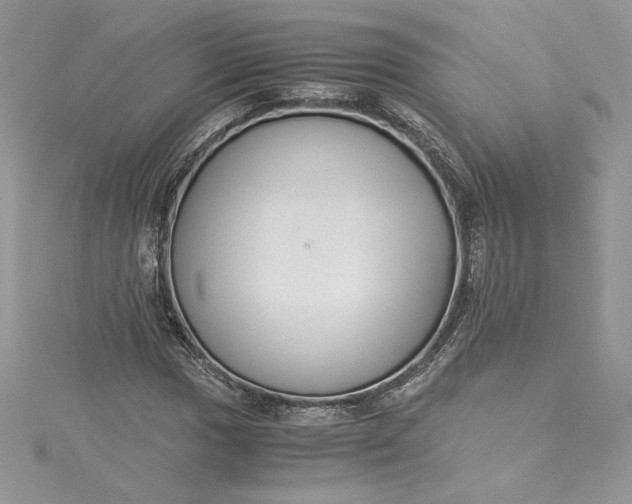 X0000115351017200911171327