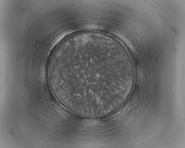 X0000115351023200911171327