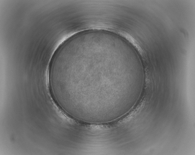 X0000115351032200911171328