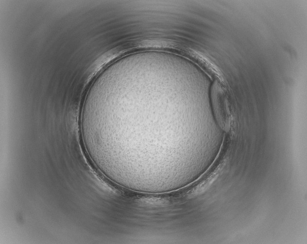 X0000115351033200911171328