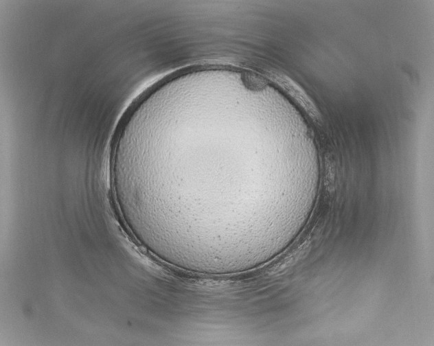 X0000115351036200911171328