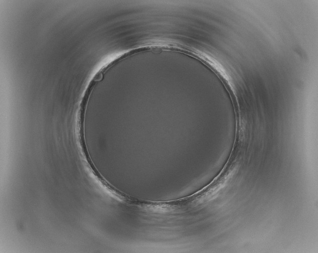 X0000115351045200911171328