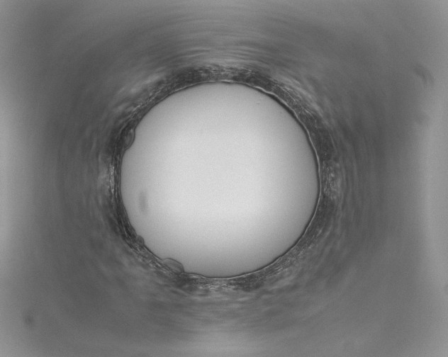 X0000115351061200911171327