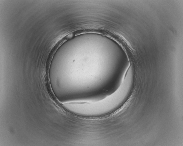 X0000115351065200911171327