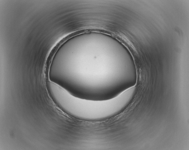 X0000115351068200911171327
