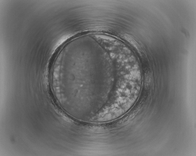 X0000115351071200911171327