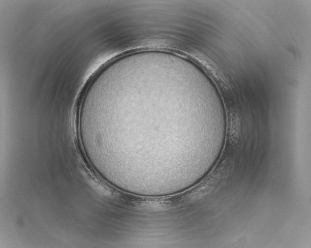 X0000115351078200911171327