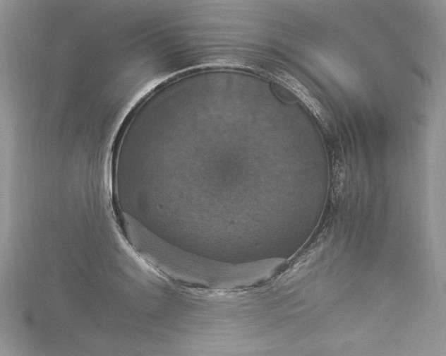 X0000115351084200911171327