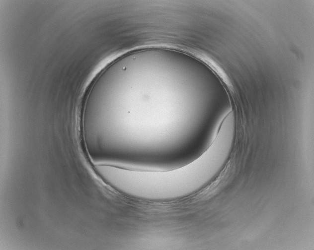 X0000115351101200911171327