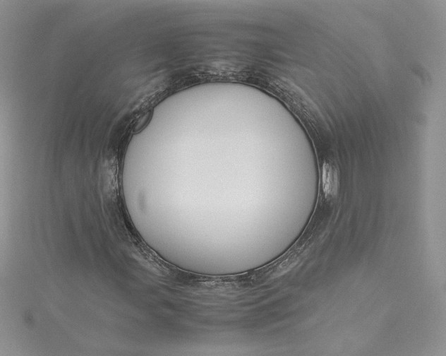 X0000115351107200911171326