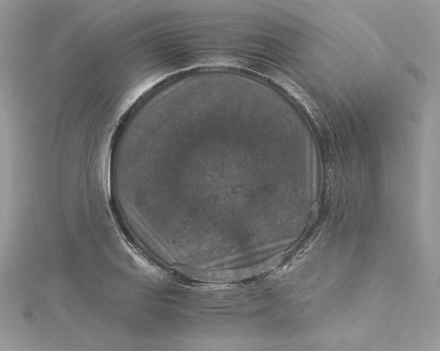 X0000115351127200911171326