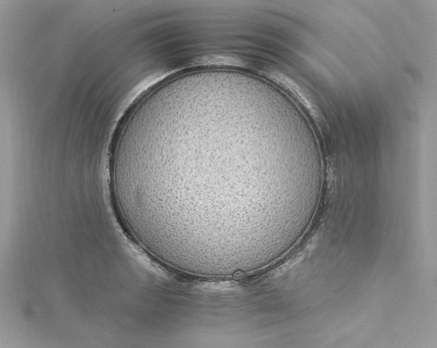 X0000115351133200911171326
