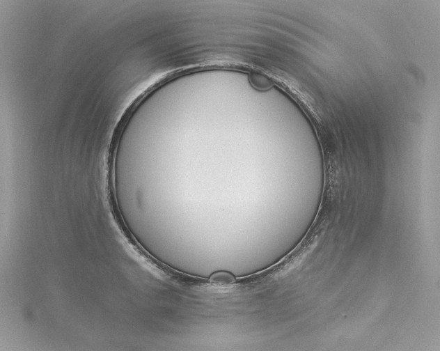 X0000115351134200911171326