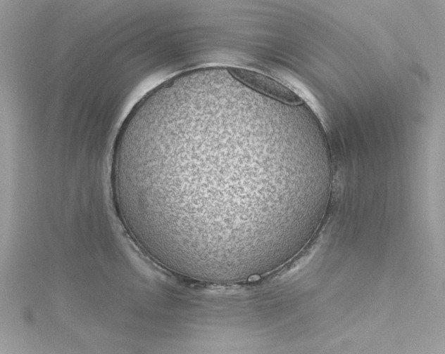 X0000115351146200911171327