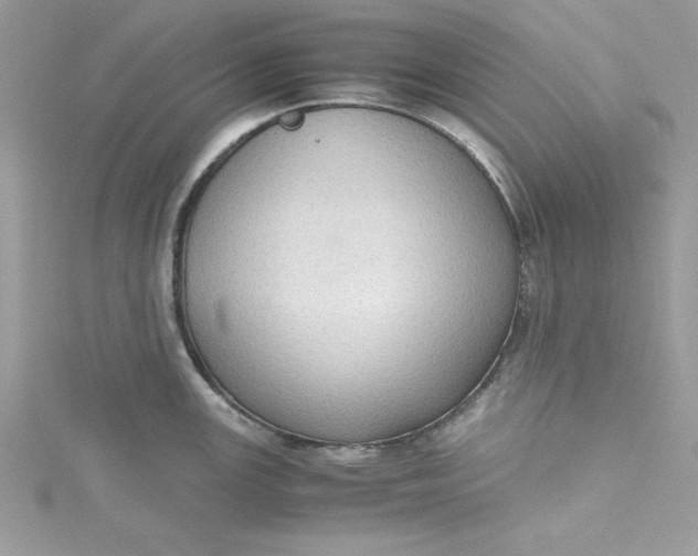 X0000115351147200911171327