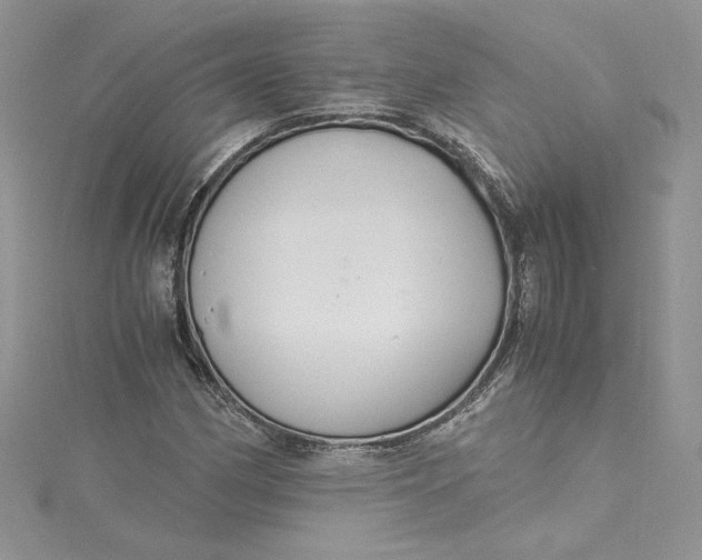 X0000115351162200911171326