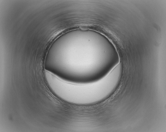 X0000115351169200911171326