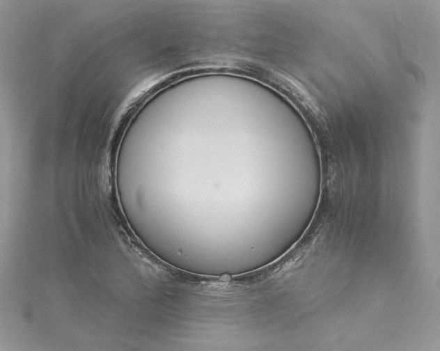 X0000115351172200911171326