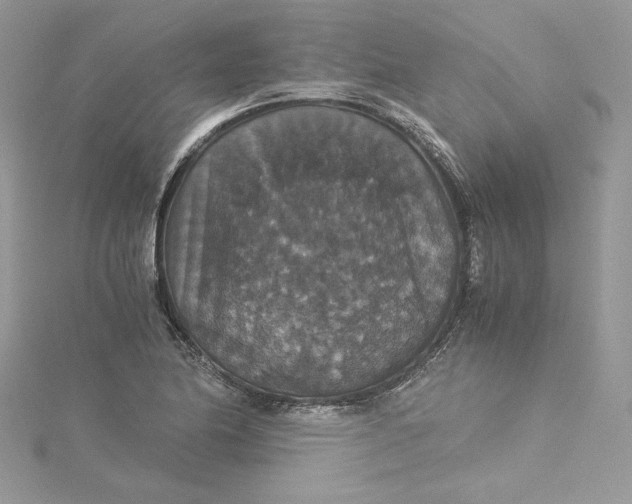 X0000115351174200911171326