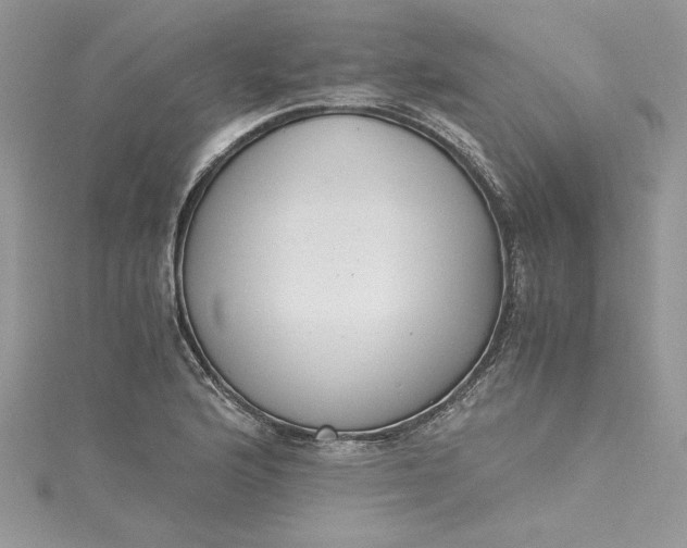 X0000115351176200911171326