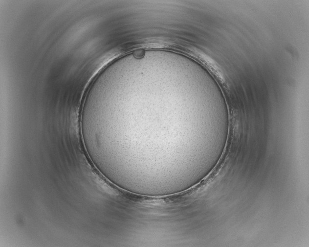X0000115351186200911171326