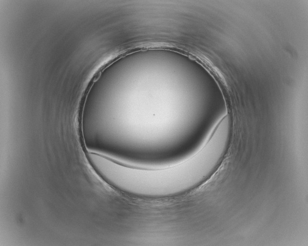 X0000115351189200911171326