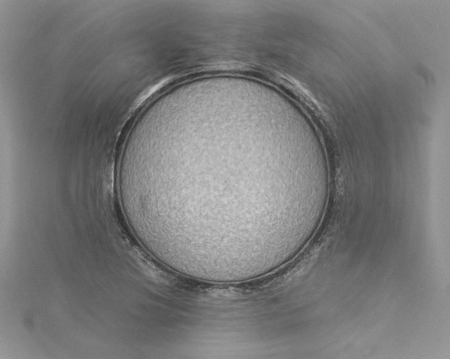 X0000115351220200911171325