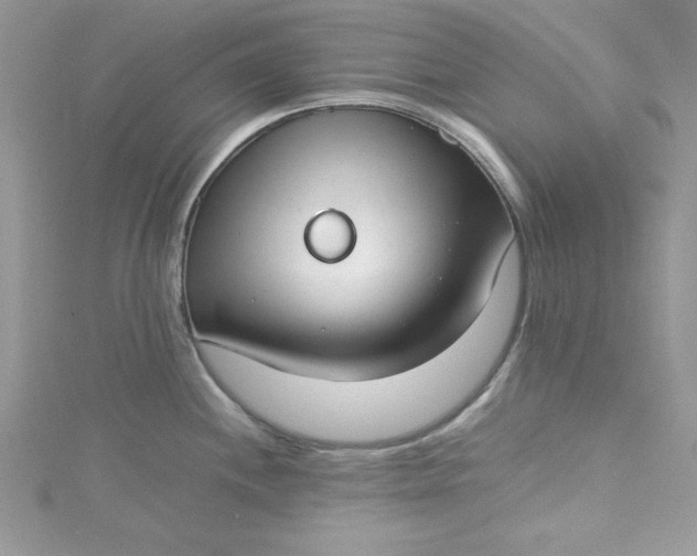 X0000115351244200911171325