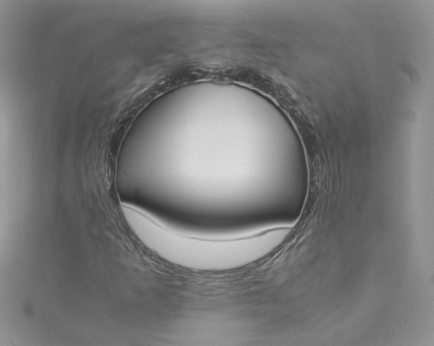 X0000115351253200911171325