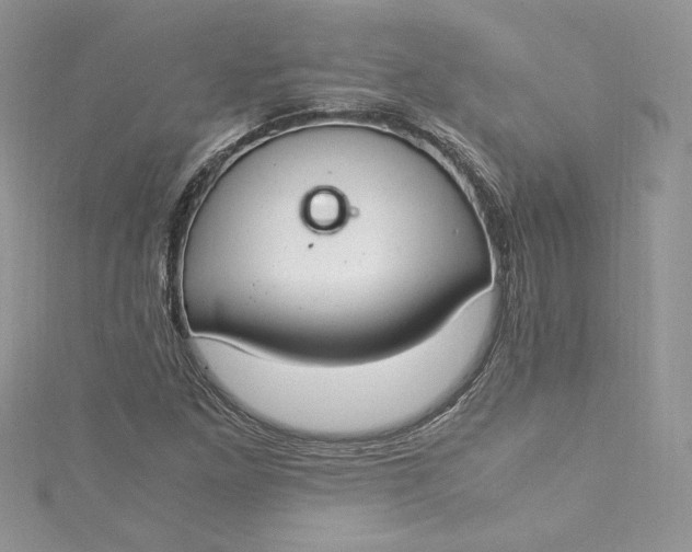 X0000115351261200911171325