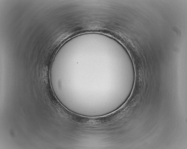 X0000115351265200911171325