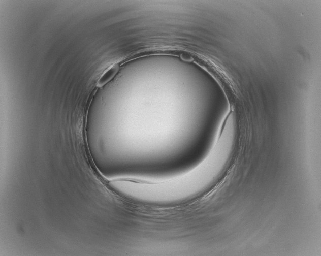 X0000115351273200911171324