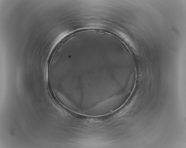 X0000115351275200911171324