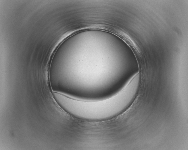 X0000115351284200911171324