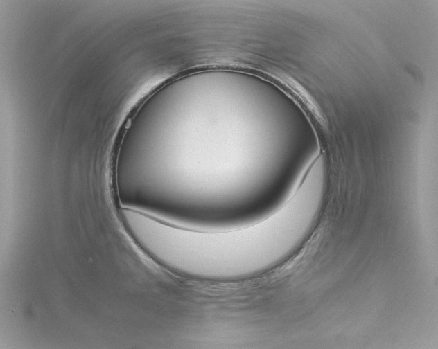 X0000115351285200911171324