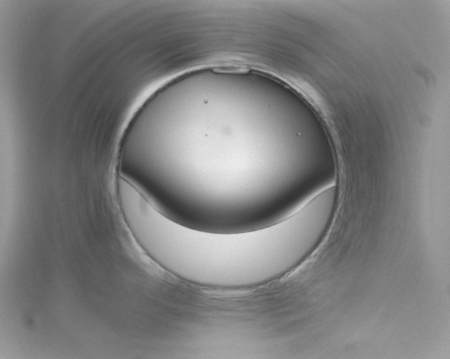 X0000115351296200911171324