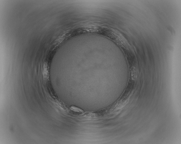 X0000115351298200911171324